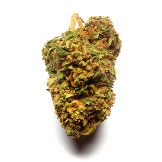 Canapa Light Fruit - Cannabis Light - CBDBUDS