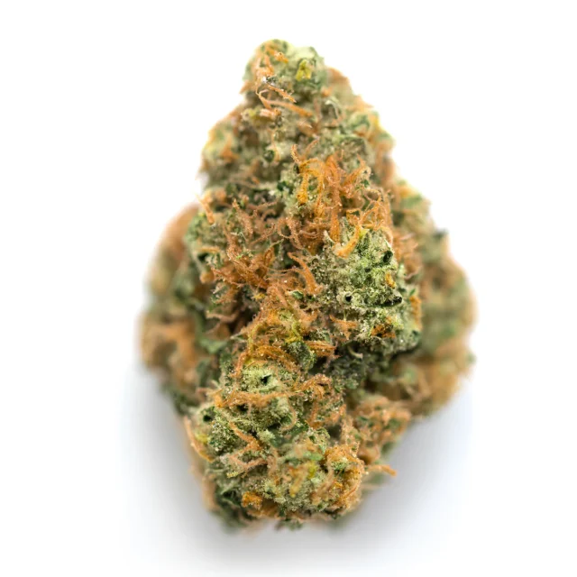 Orange CBD - Cannabis Light - CBDBUDS